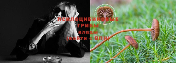 apvp Протвино