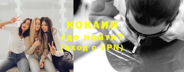 кокс Богородицк