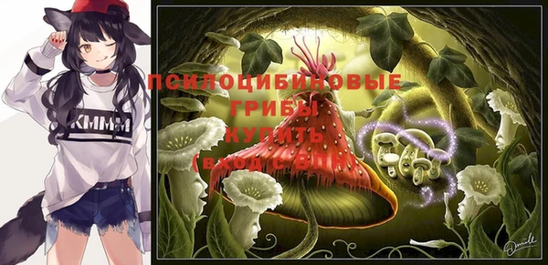 кокс Богородицк