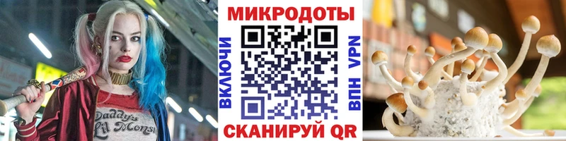 где купить наркотик  Ленинградская  Псилоцибиновые грибы Cubensis 